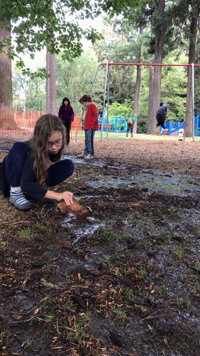 VennAcademyPDX's tweet photo. At Venn Academy, our classrooms don’t stop at school. We love to use the natural spaces at Laurelhurst Park, too. Today, students created a river system from a water source at the park.
#relationshipbasededucation #independentschools #vennacademy #natureplayeveryday https://t.co/7Txtcfhjq4