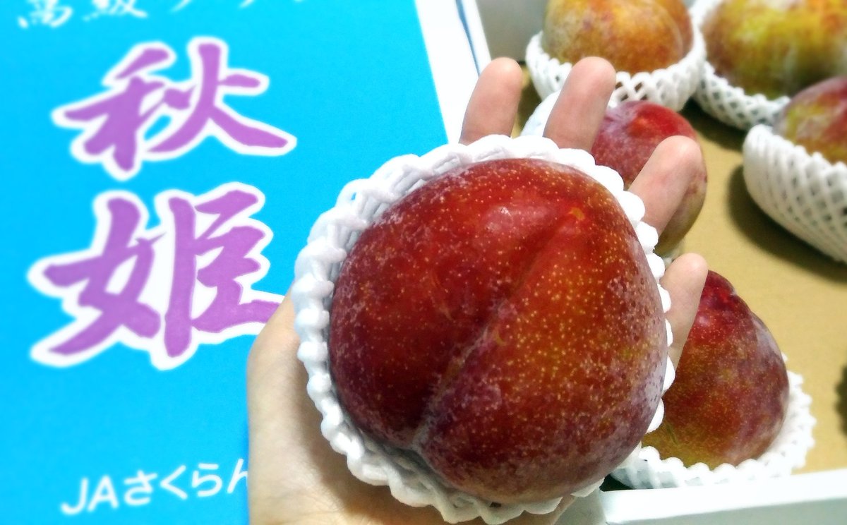 ことたん Happiness そんな中でも産直したプラム 秋姫 と桃さんがたっぷり届いたりしました いい匂い フルーツ 果物 プラム 秋姫 桃 飯テロ 食欲の秋 ことたん Happiness そんな中でも産直したプラム 秋姫 と桃さんがたっぷり届いたりしました いい匂い フルーツ 果物 プラム 秋姫 桃 飯テロ 食欲の秋