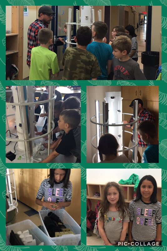STMS_Soldiers's tweet photo. Getting our grow on! Thanks to Mr. Coughlin for helping start our Grow Tower! Stay tuned. . . 🌱🌱🌱 @sncdsb @dee_cooper https://t.co/ux3ReFwqG9
