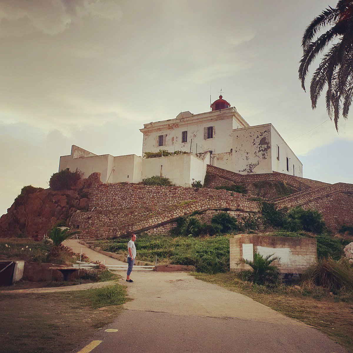 Nabil Djellit tweet media