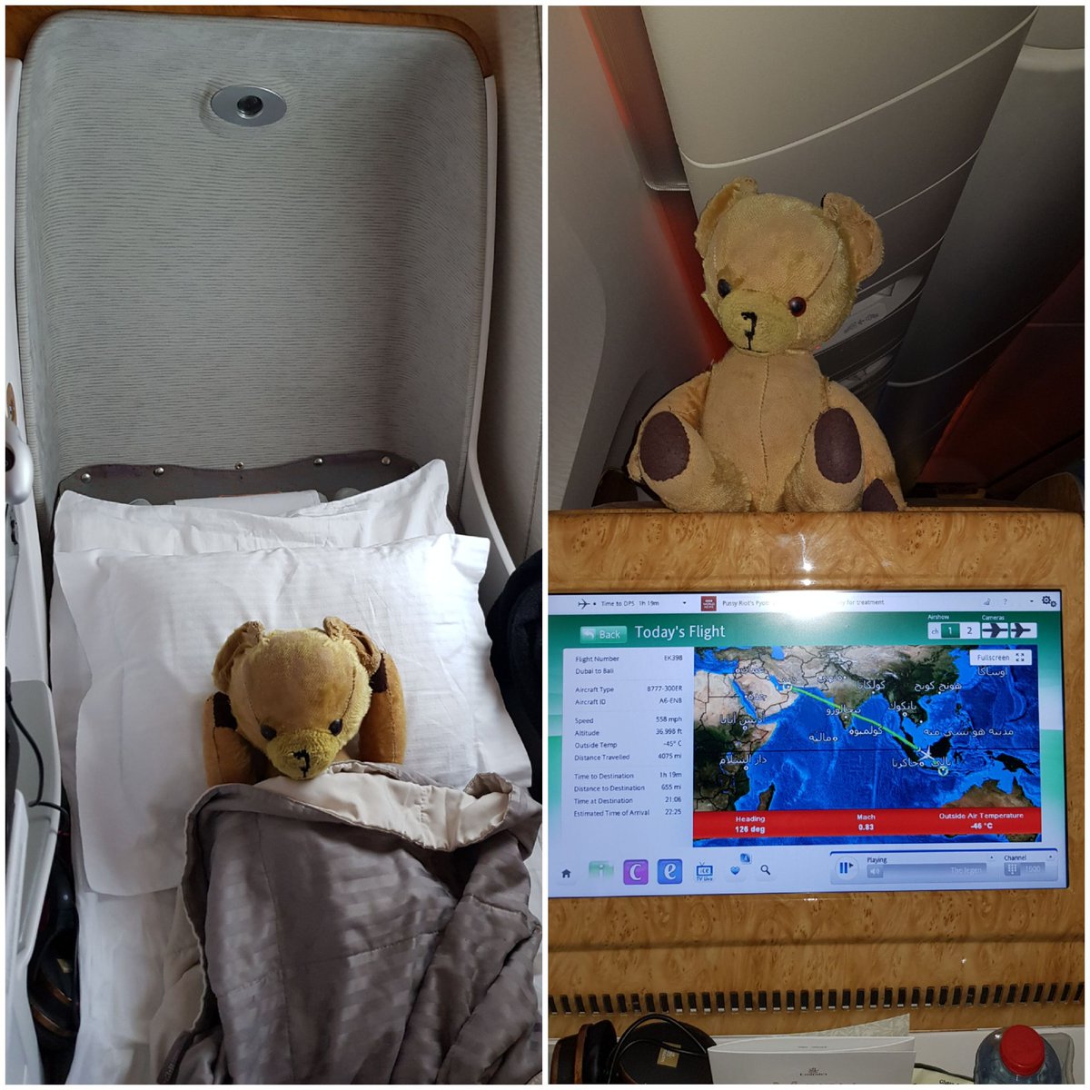 giant teddy bear on airplane