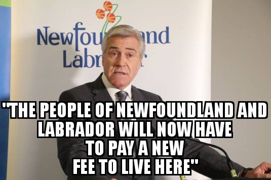 Cape Shore Memes on Twitter: &quot;When the word Newfie is NOT offensive:… &quot;