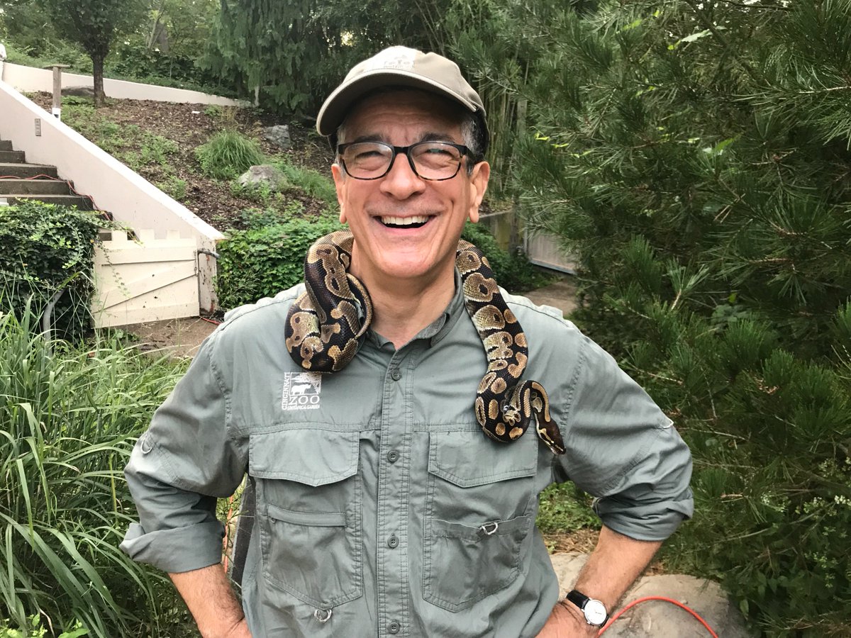 Evans Mirageas, Artistic Director of @cincinnatiopera looks more like @CincinnatiZoo Director Thane Maynard tonight!  The Opera is performing their annual Back to the Zoo concert tonight in their original home at the Zoo.