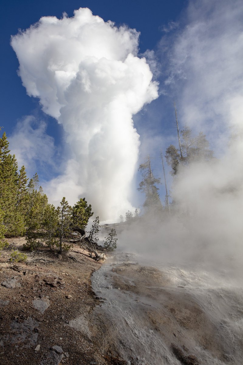 YellowstoneNPS tweet picture