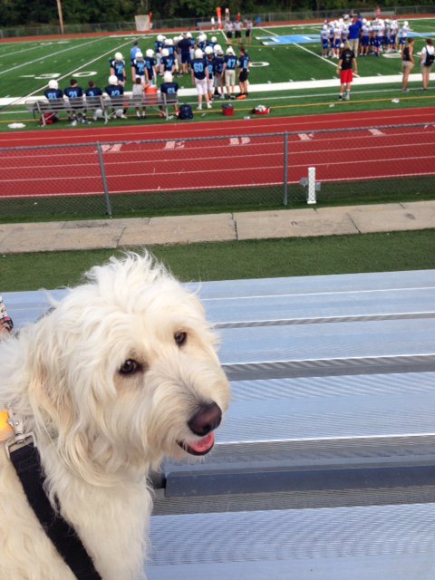 RoseBuddyDog's tweet photo. Enjoyed cheering on the Blake Middle School football team today!  #SuperFan #bmsed #MedfieldProjectHappiness https://t.co/qjDUdvRwIh