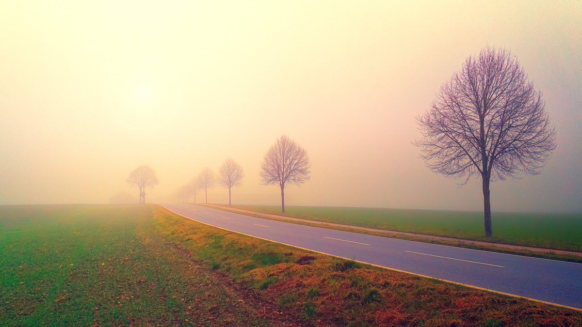 Country Road In Morning Fog - by jplenio 

pixabay.com/p-3208158 

#landscape #photography #freeimages