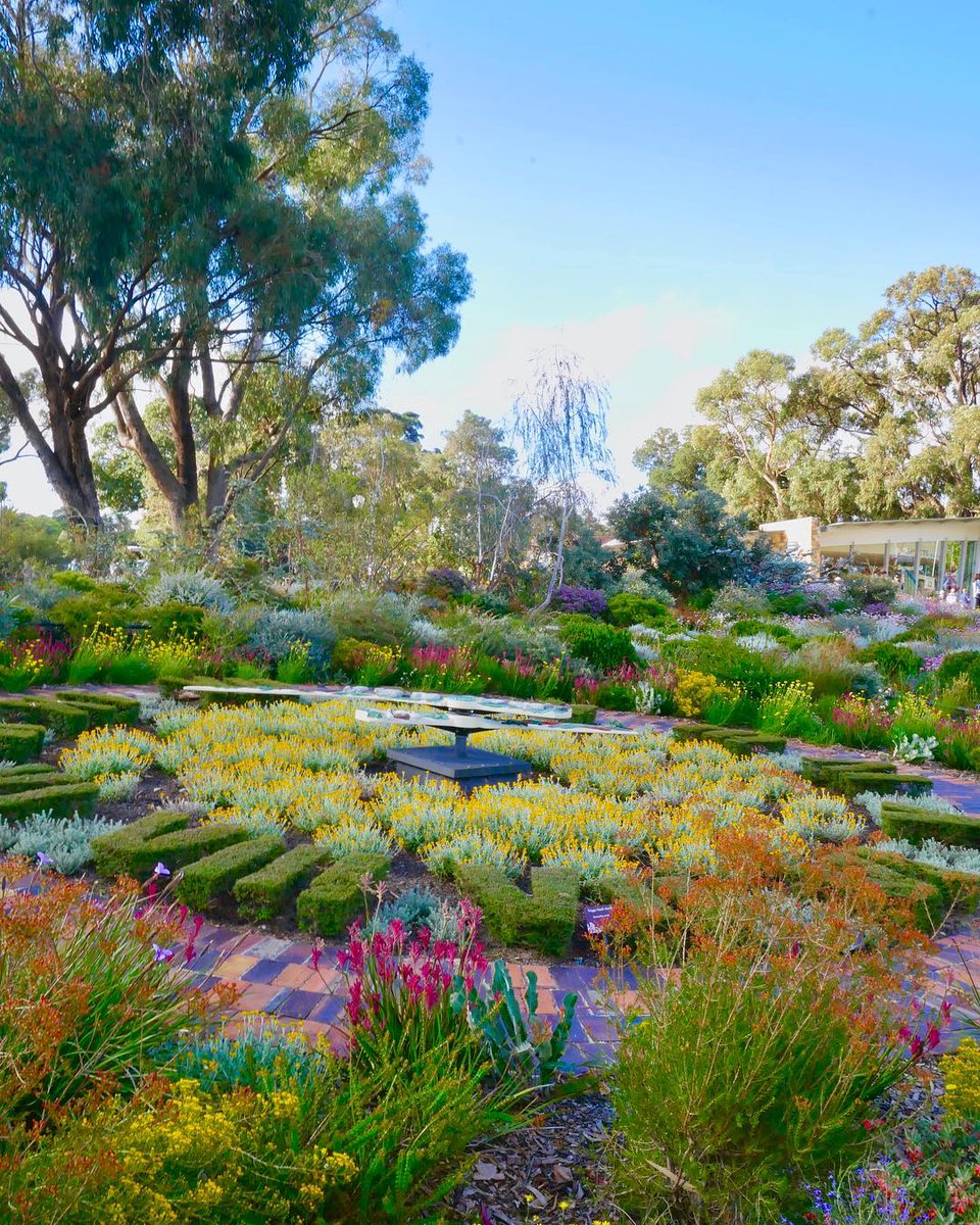CityofPerth's tweet photo. Spring has definitely sprung at King's Park! #cityofperth #kingspark
📷 thana_aof https://t.co/p3tE4y9j5e