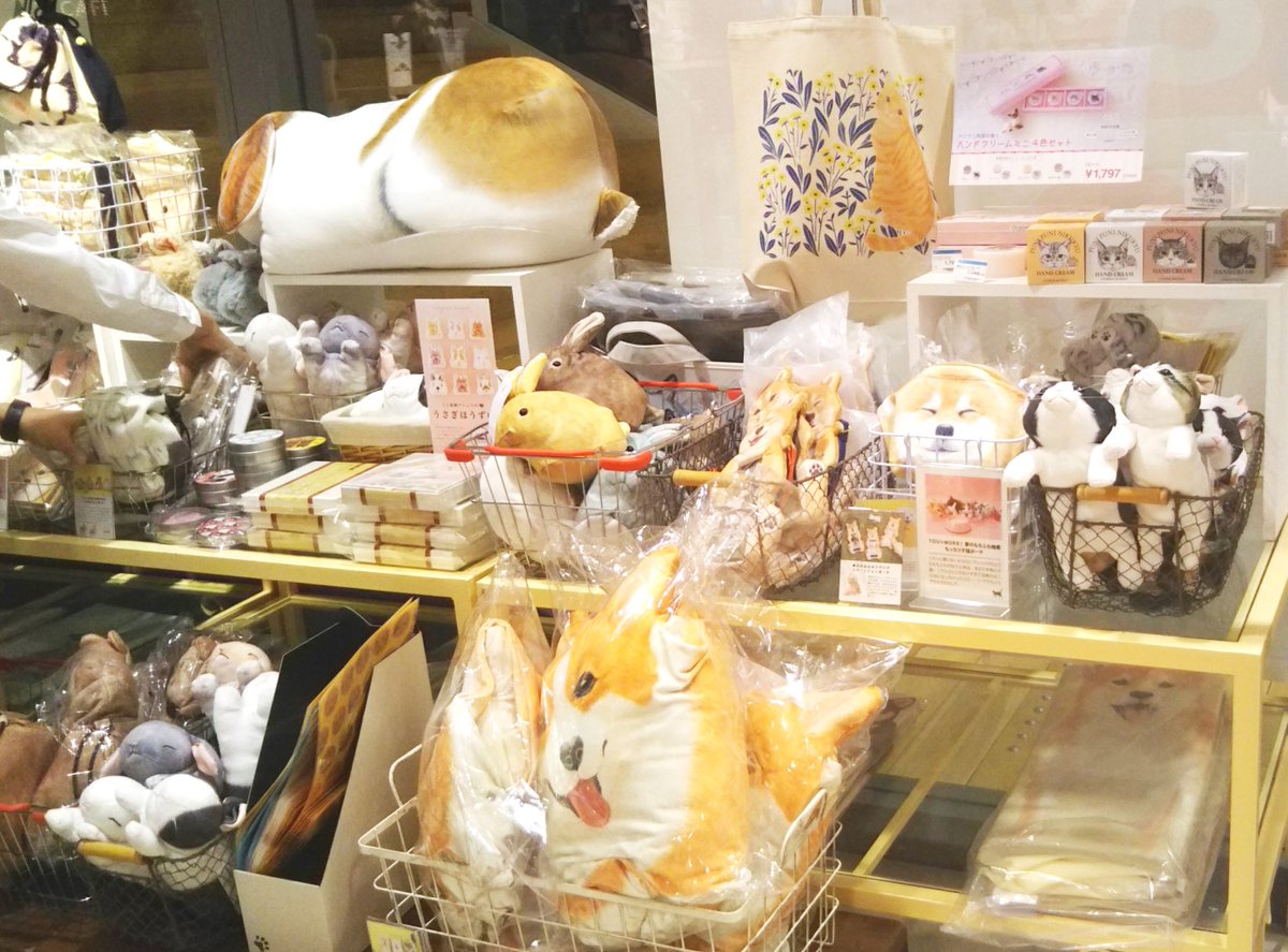 You More Na Twitteru ハンズビー東急プラザ表参道原宿店 期間 10月8日 月 まで 場所 東急プラザ表参道原宿5f 人気のうさぎのほうずいや 柴犬のスマホポーチを入荷中です 表参道に遊びに来たら ぜひお立ち寄りください 9月のショップ情報 T Co