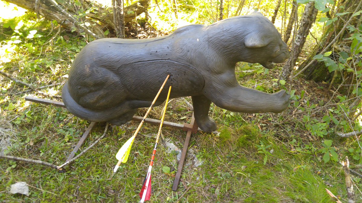 Kingston Archery Club Twitter