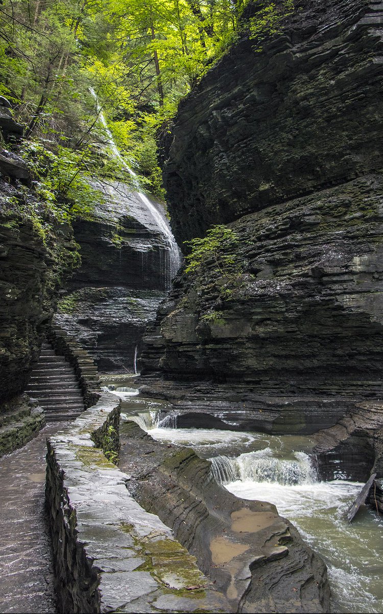 IBBtravel's tweet photo. Calling all waterfall lovers! If you haven't visited Watkins Glen State Park, you SERIOUSLY need to change that! Not convinced? This photo roundup will have you wanderlusting for a visit! 👇🏼
>> https://t.co/nzPzx7kebp <<
#Travel #GetOutside #ILoveNY https://t.co/HfbOqvtcln