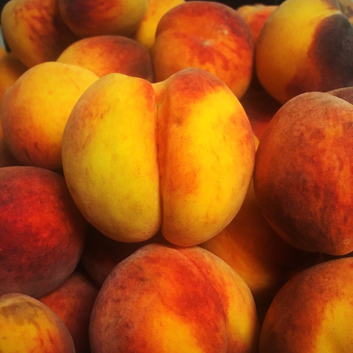 I just Picked up a truckload of farm fresh peaches 🍑🍑 straight from the farmer himself. I rewarded <a href="/bizjakfarms/">Bizjak Farms</a> with a #peachpie made from their very own peaches. #farmersfeedcities Thanks Milan!