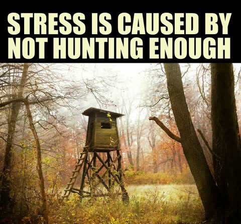 OutdoorObsessor's tweet image. Yup