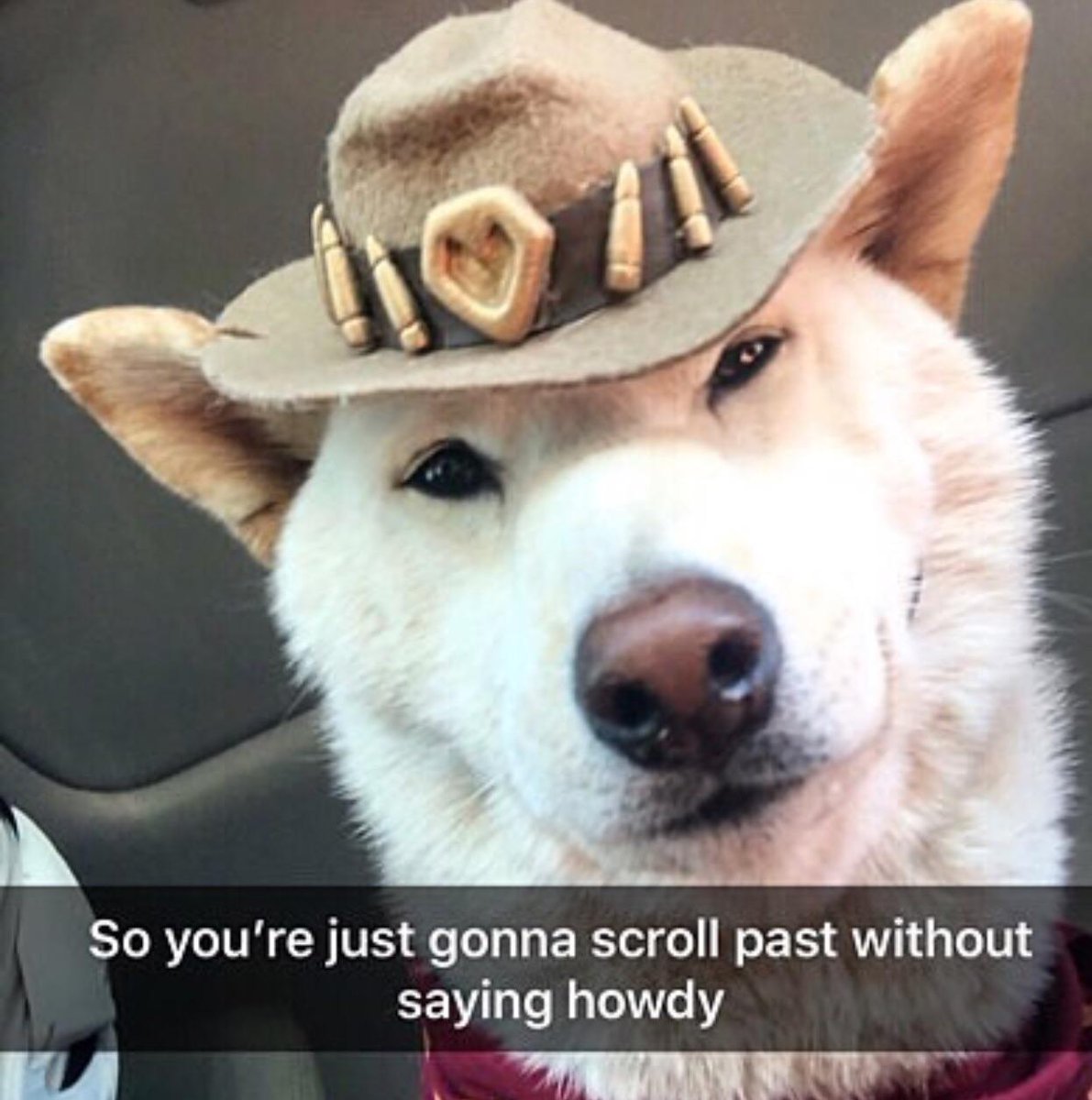 Y’all motherfuckers better say howdy