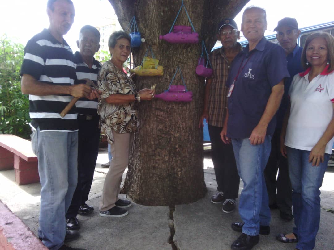 Rigomos's tweet photo. Abuelos y Abuelas del INASS ubicado en el municipio Valera utilizan material reciclables para establecer cultivos de ciclo corto con el apoyo de MTP del Programa Agricola de @IncesTrujillo7 https://t.co/RhHyKez98G