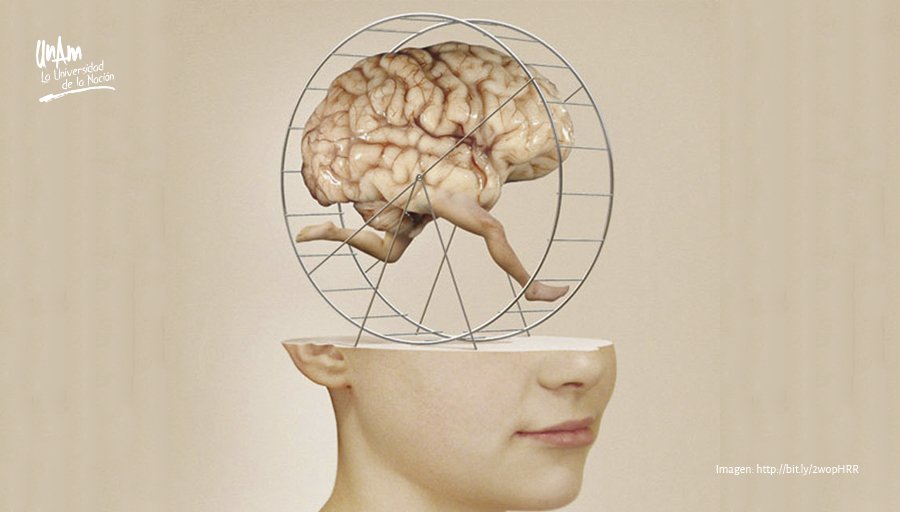 Мозг в подарок. Коннектом как мозг делает нас тем что мы есть. Мозг в подарок. Мозг то что мы есть. Мозг в подарок.