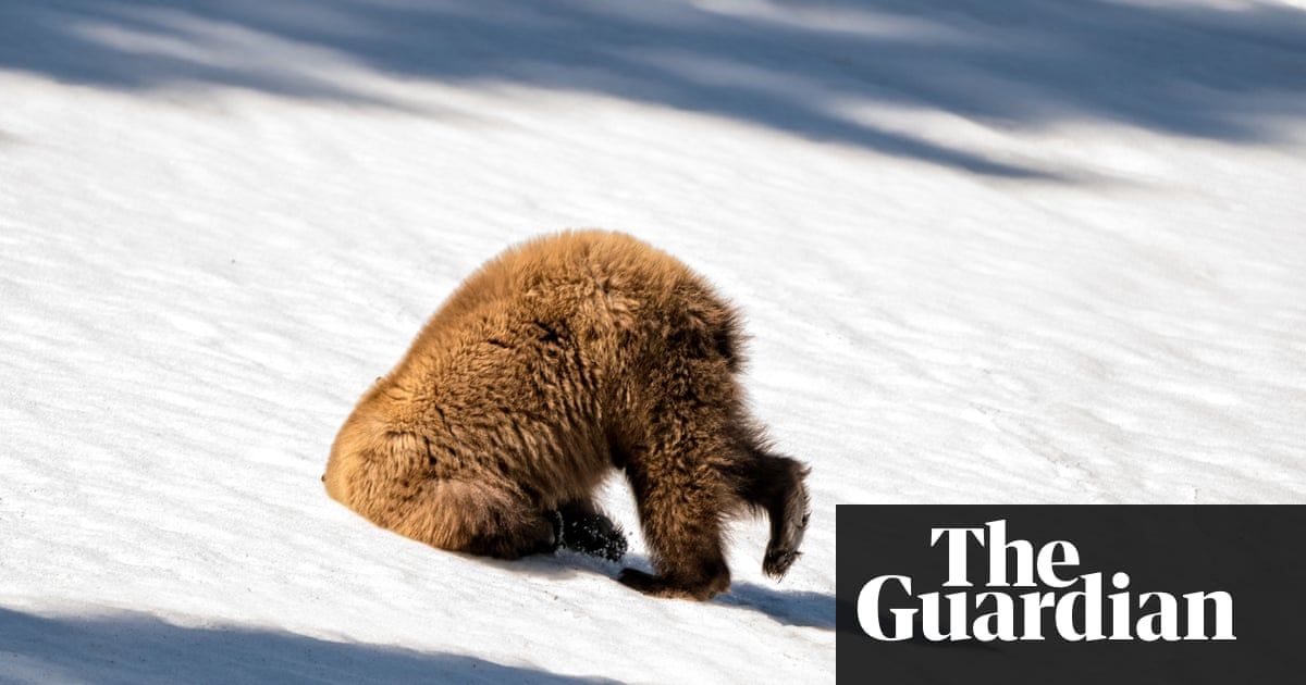 What's cracking us up this week: sar.ac/2MFGd5q