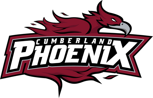 i am blessed to receive my 6th offer from cumberland university! thank you coaches and players for the amazing camp and now for the offer! 🏀<a href="/CumberlandWBB/">Cumberland University Women’s Basketball</a>