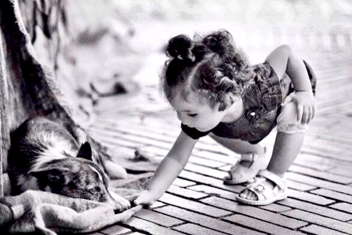 joybellabella's tweet photo. To make a difference in someone’s life, you don’t have to be rich, beautiful or perfect. You just have to care. https://t.co/QAyjlHOw9S