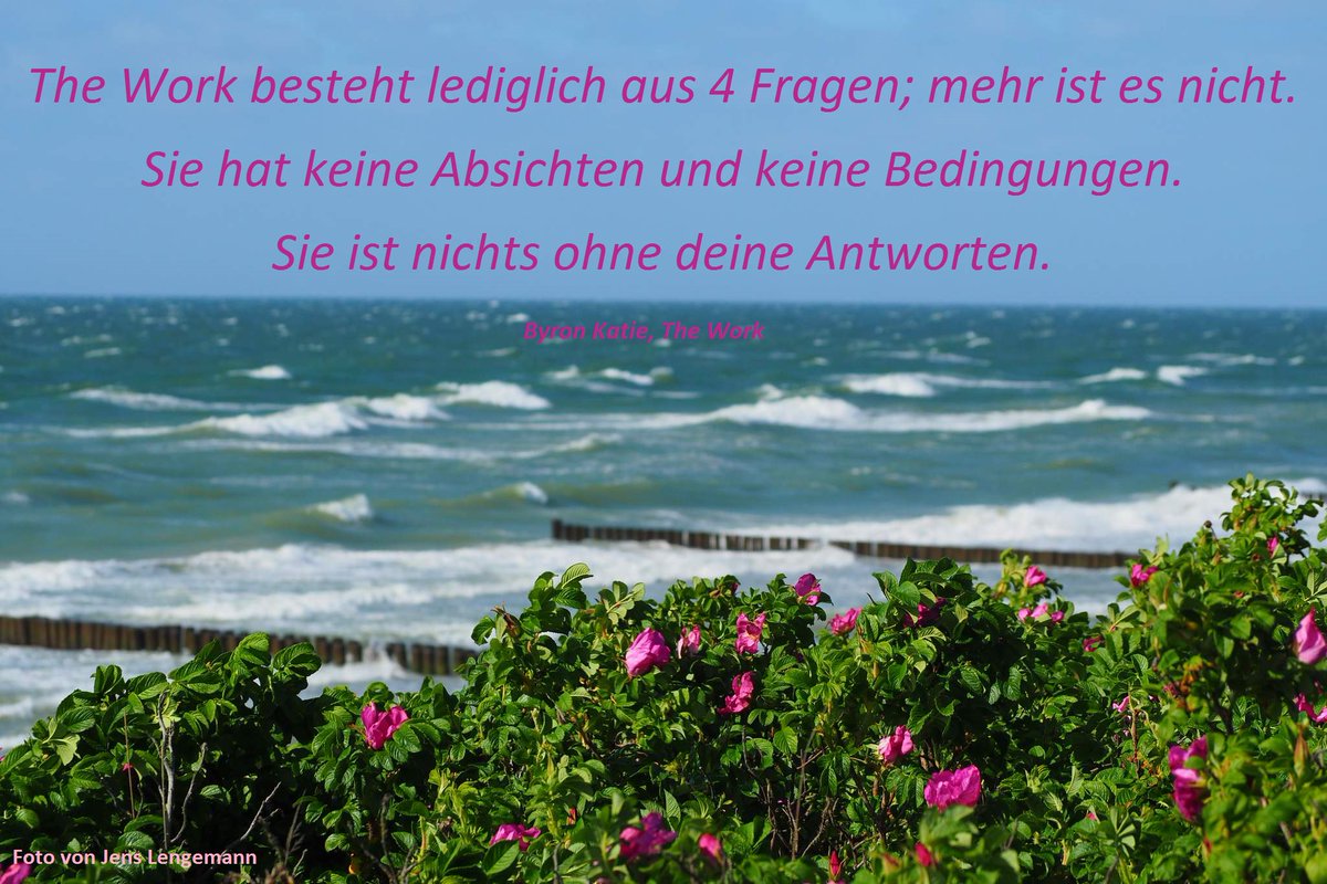 Download Byron katie zitate Desktop Wallpaper Free