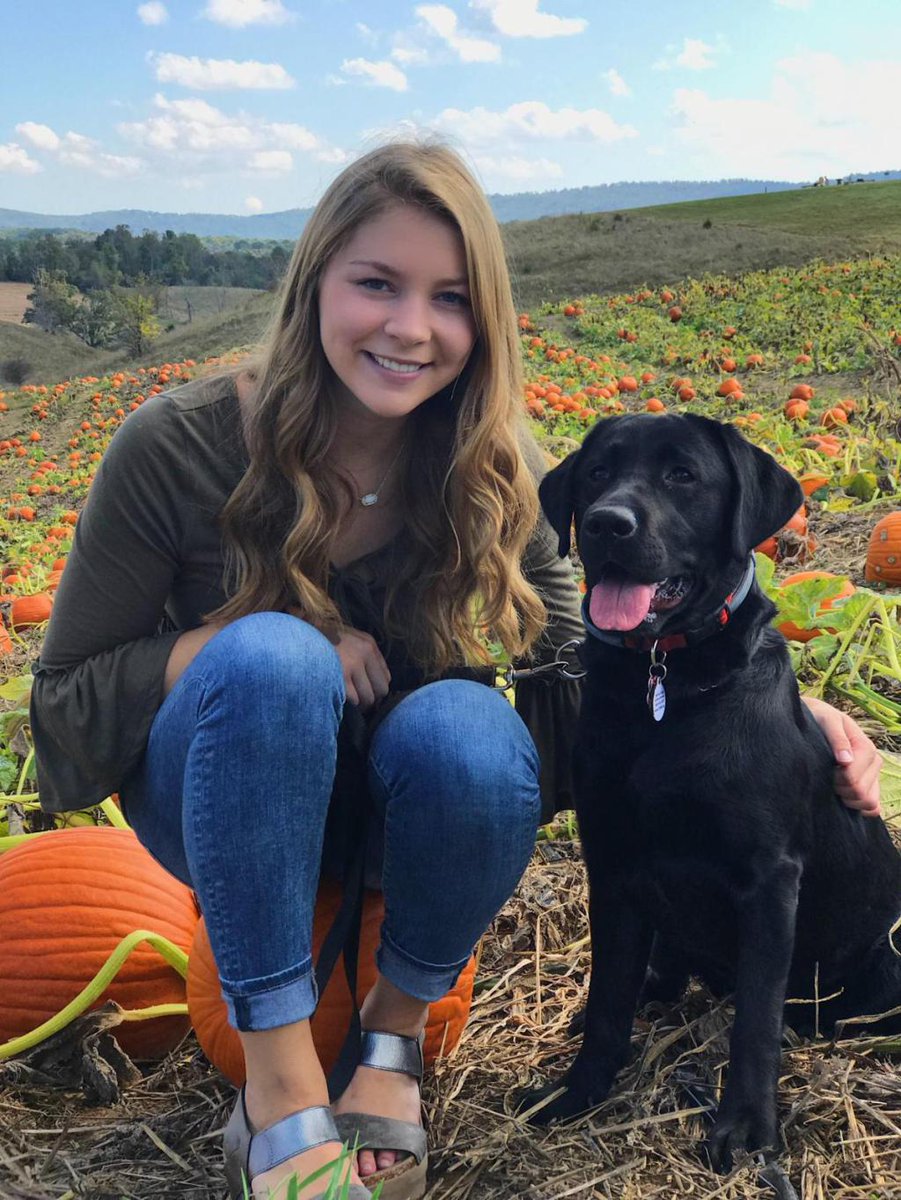 AmDisRights's tweet photo. Service dog company 'bamboozled' Virginia Tech student, judge says. #militaryservicefraud #SDWR #charleswarren #servicedogsbywarrrenretrievers https://t.co/YIU2yoiLC4 https://t.co/rnAUNm7d8r