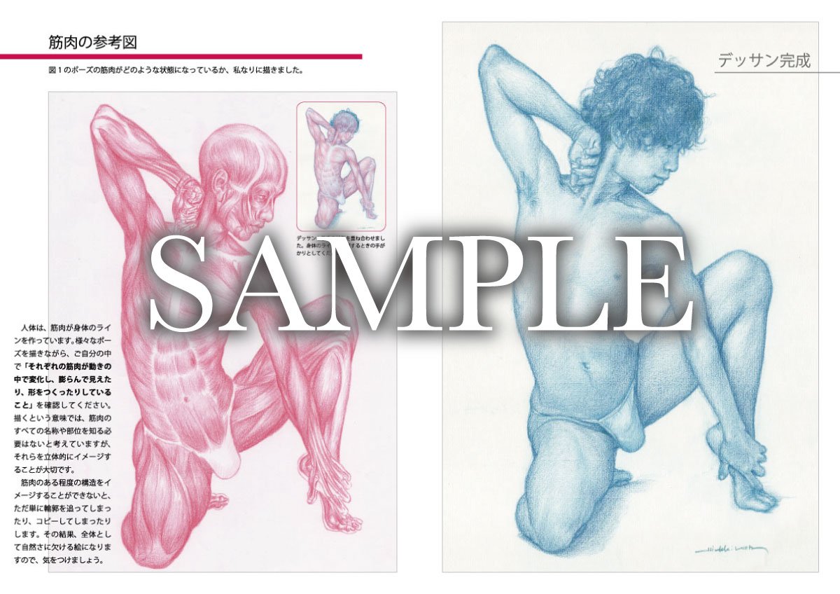 甲秀樹 絵楽塾 على تويتر 甲秀樹より 皆様 こんにちは 甲秀樹 人体デッサン 男性ポーズ集2 が発売されます イラストや漫画の創作に役立ててください 私なりの描き方 アタリ のポイントも掲載し ページ数もグレードアップしていますので ぜひ ポーズ 甲秀樹 絵楽塾 على تويتر 甲秀樹より 皆様 こんにちは 甲秀樹 人体デッサン 男性ポーズ集2 が発売されます イラストや漫画の創作に役立ててください 私なりの描き方 アタリ のポイントも掲載し ページ数もグレードアップしていますので ぜひ ポーズ
