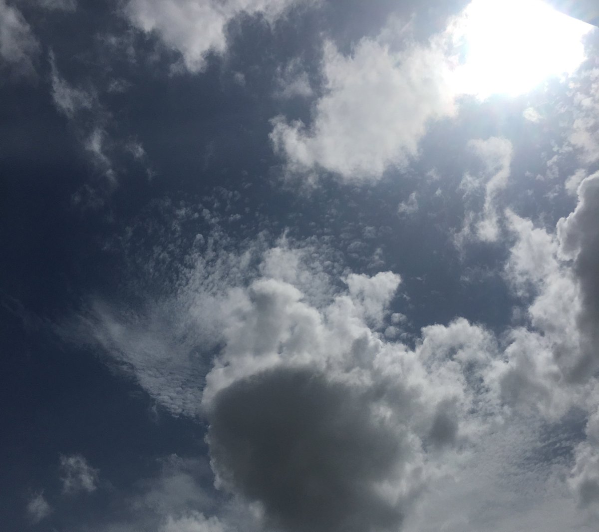 Diercon's tweet image. All setbacks will be over and everything will be fine. 💪