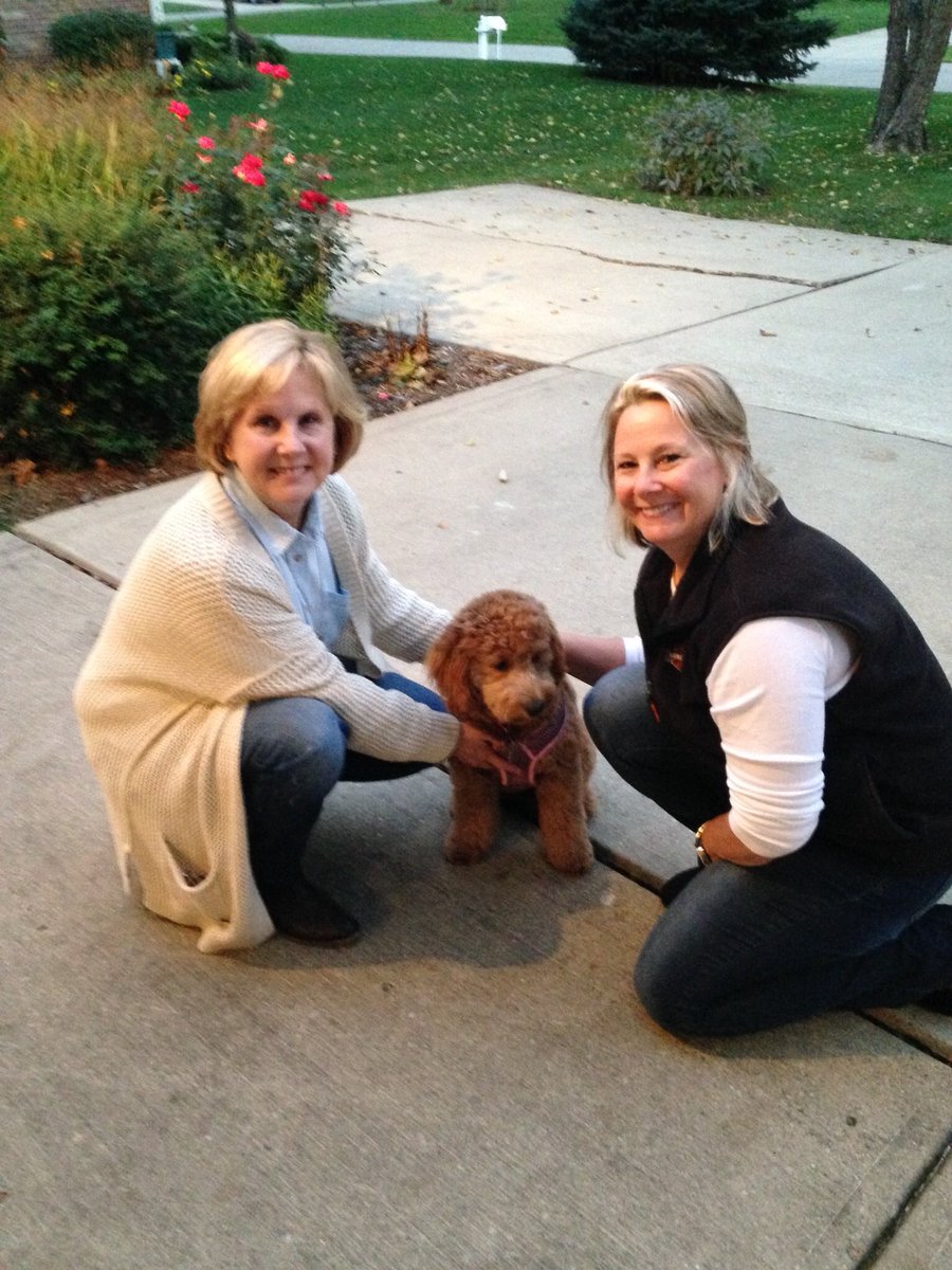 OUAGDBooks's tweet photo. One time I went on a road trip with my mah &amp; Aunt Patti. I met an odd looking puppy, a puppy named Maddie, and a 3rd puppy named Nola. That was a good trip... 🐾❤️
:
#dogsforacause #therapydog #roadtrip #makinfrens #family #childrensbooks https://t.co/80GleIItWB