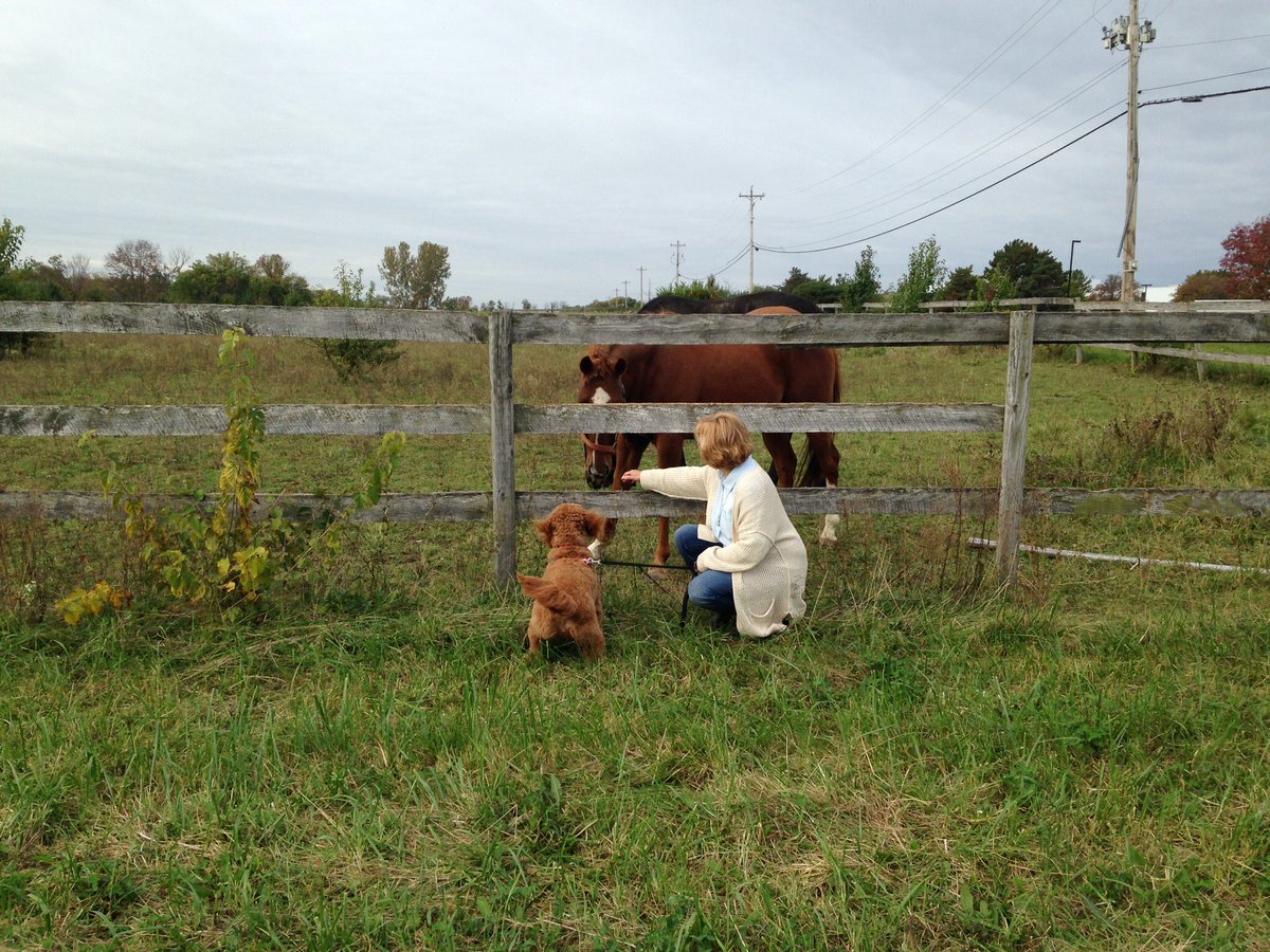 OUAGDBooks's tweet photo. One time I went on a road trip with my mah &amp; Aunt Patti. I met an odd looking puppy, a puppy named Maddie, and a 3rd puppy named Nola. That was a good trip... 🐾❤️
:
#dogsforacause #therapydog #roadtrip #makinfrens #family #childrensbooks https://t.co/80GleIItWB