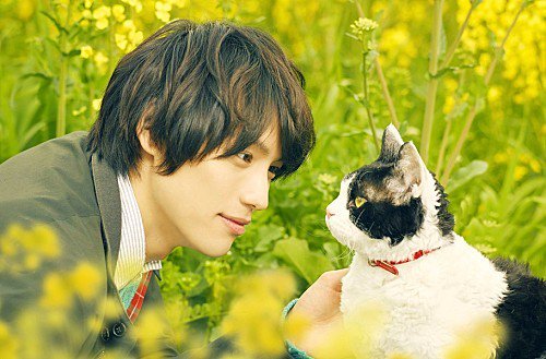 Billboard_JAPAN's tweet photo. 15組30名様ご招待！　福士蒼汰主演『旅猫リポート』試写会が開催 https://t.co/qpQ71AQ0HU https://t.co/z6aLOZqm9Q