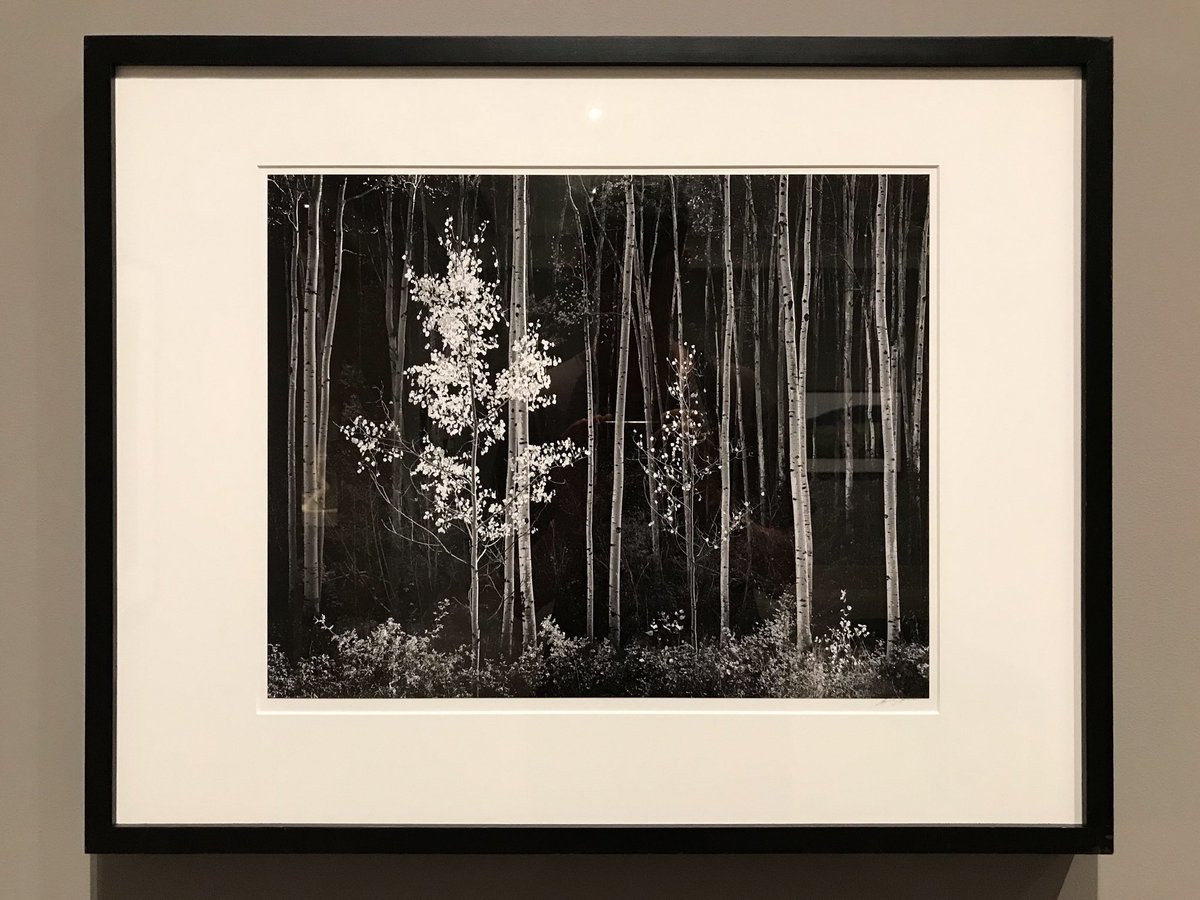 Always take time to stop and look at Ansel Adams in person #MFAStPete #ArtOfEd #Photography #Light #WhartonWildcats
