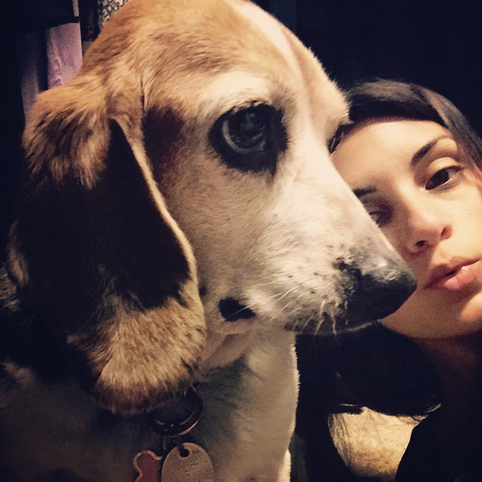MonkeyBeagle's tweet photo. https://t.co/dxu2Kp0Zoc