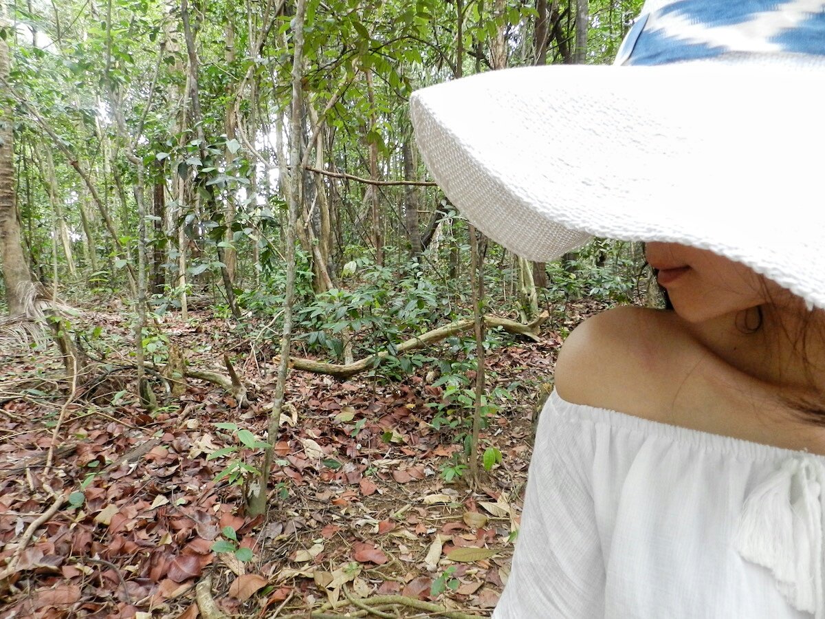 BanyanTreeBNTN's tweet photo. Blend in with the forest and enjoy the resort's surrounding nature. #banyantreebintan https://t.co/WicUoqj2oj