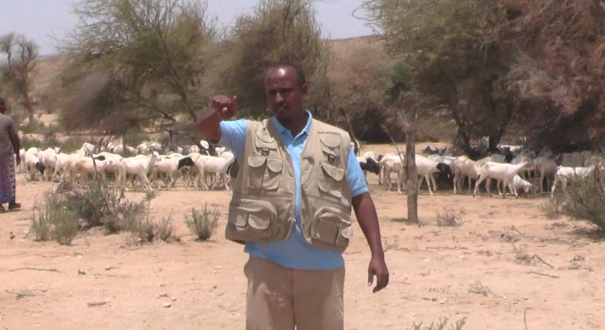 AmoudFoundation's tweet photo. #CycloneSagar hit Somalia and about 70% of livestock were lost in the affected areas. Amoud is providing livestock replenishment $500 for 10 goats. donate at https://t.co/ilyeSlh0he #LoveSomalia https://t.co/HJxo18mv2h