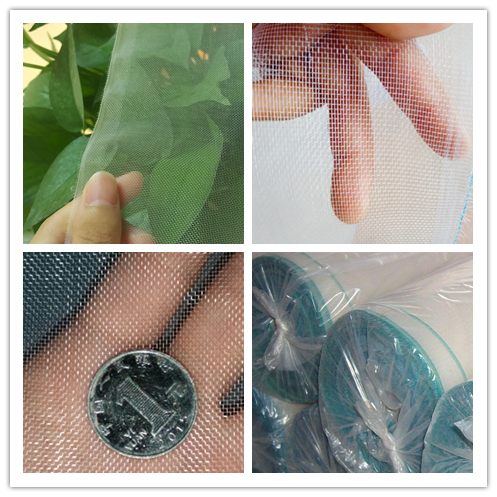 tuohua1996's tweet image. #Insectnet  #AntiFlyNet #antiinsectscreen
The anti insect screen apply for vegetable growth, yield, good ventilated permeability, can prevent hail, windy, ultraviolet radiation, can prevent insect invasion, for instance, aphids, Coccinella septempunctta.