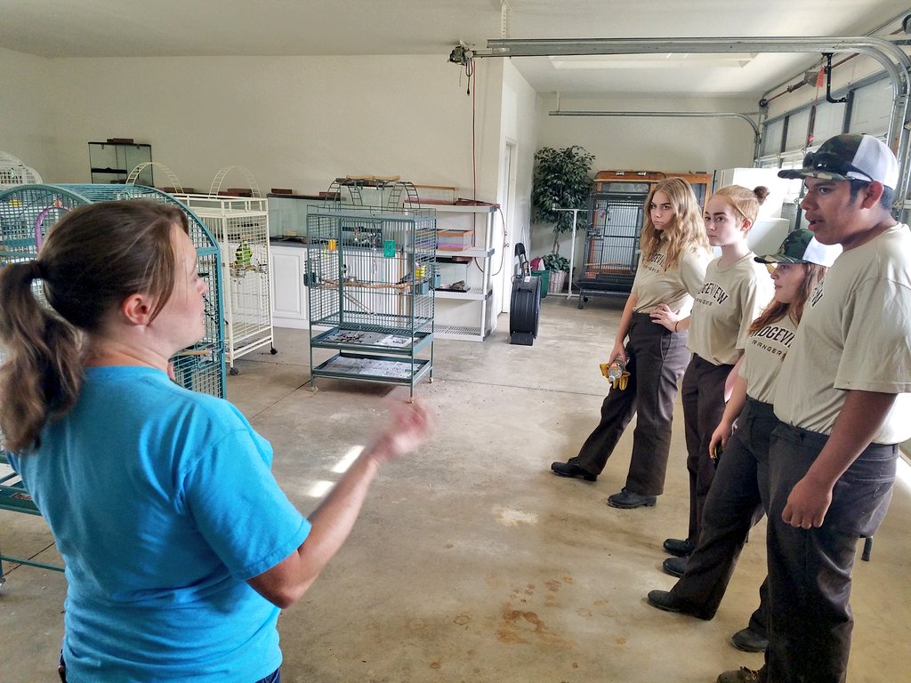 rvrangers's tweet photo. Cleaning reptile and bird cages at Barry R. Kirshner Wildlife Sanctuary. Their mission is to provide rehabilitation and long term care for exotic and native species, as well as to provide educational programs emphasizing wildlife and habitat conservation #rvhswolverine #pusdk12 https://t.co/NVvmPJ30jU