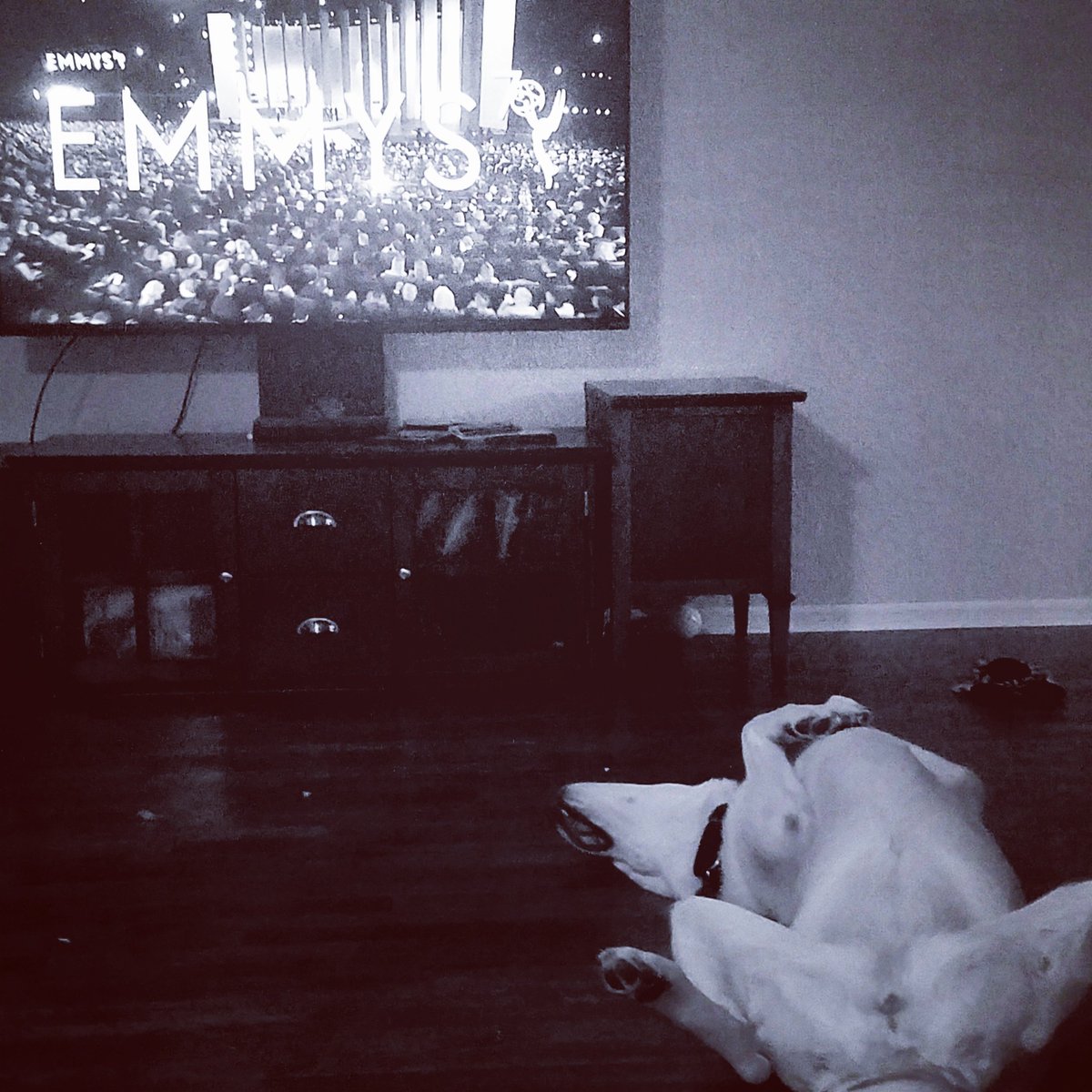 RutheaJen's tweet photo. How do you watch the #Emmys #Emmys2018 live #EmmysSoWhite #EmmyAwards2018 https://t.co/FafT1bSRLt