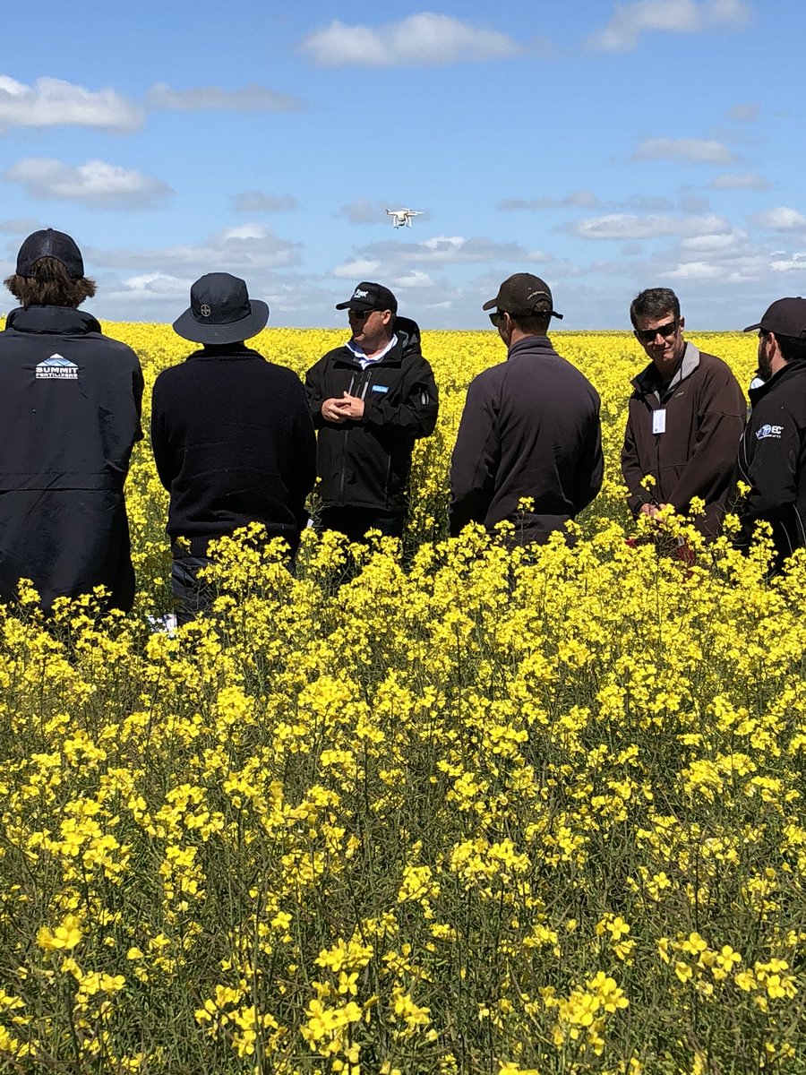 RPAgronomy's tweet photo. @SuperHyola introducing the new #TruFlex Canola traits and technologies being developed for Australian #Canola growers from @PacificSeeds & @AdvantaSeeds at the @WMG_WA Spring Field Day
Exciting new hybrids for higher yield and grower returns #2018WMGSFD https://t.co/Fx0Iys2fju