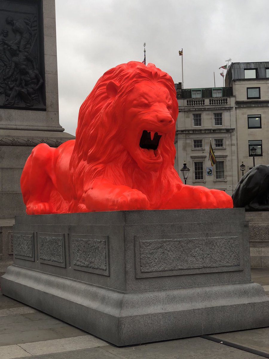 The Lions look a bit funky this morning