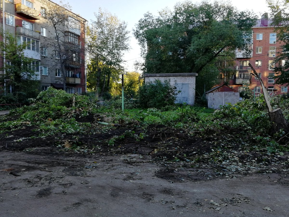 Российский двор зеленый
