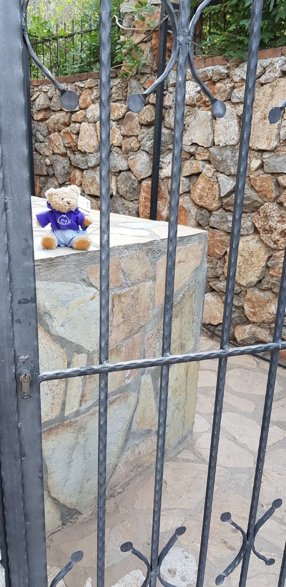O no Crewe centrals Bernard bear has been kidnapped. Please p.i. family pay a £1 to gosh to secure his realise.  I need to bring him home