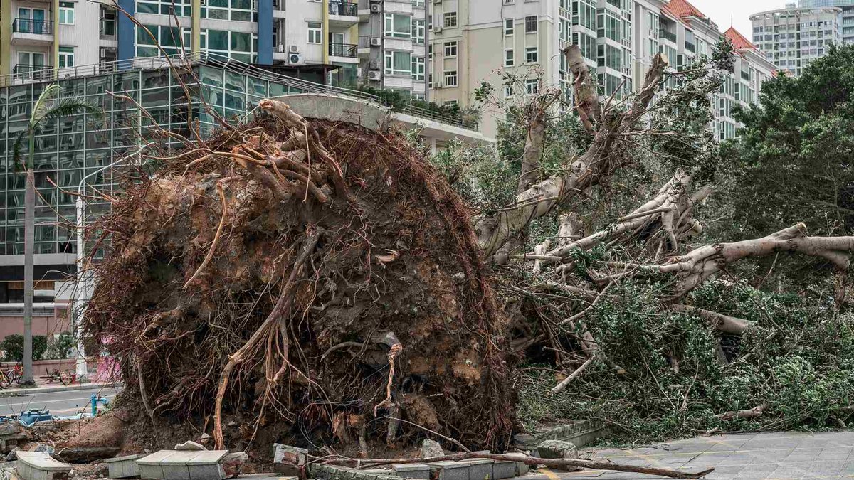 Chaos after the super #TyphoonMangkhut bit.ly/2xl9jSH