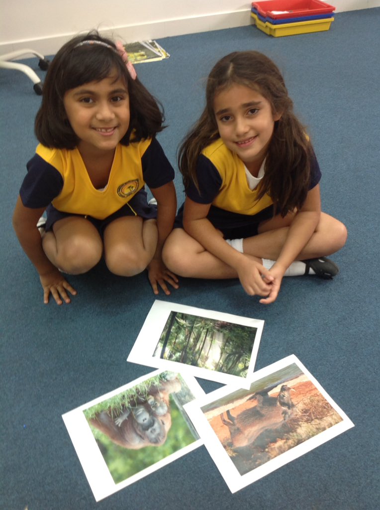 Horizon_Year2's tweet photo. Our 2L classroom transformed into a jungle this morning to inspire us with ideas for writing our jungle setting descriptions. 🦁🌿 @Horizon_EngDept https://t.co/It5BzH5sIp