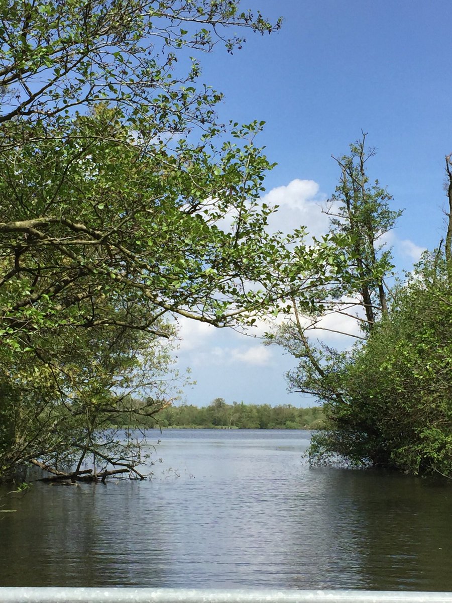 Where is your local #NationalNatureReserves ? Celebrating Conservation, public engagement and environmental change
Go visit your local #NationalNatureReserves this weekend! @NECotswolds @NENorfolkSufflk @NaturalEngland @Butterfly_bros @NENorthWest @NWTCleyCentre @BroadsNP