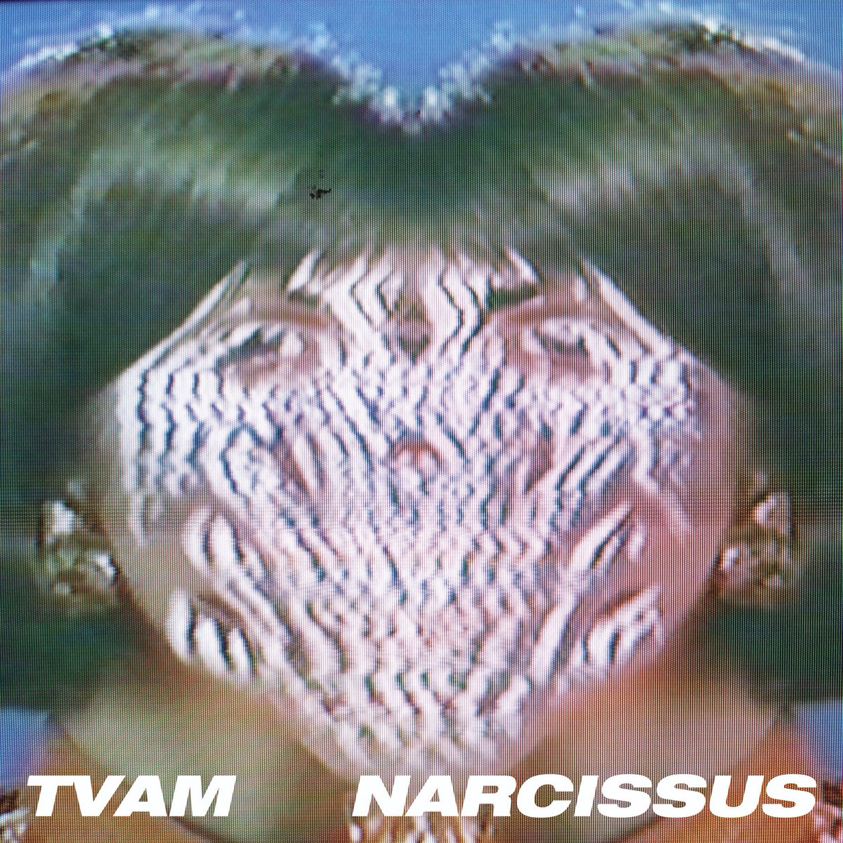 _tvam's tweet image. Wa-hey! Just had first play of my NEW SINGLE 'NARCISSUS' courtesy of @laurenlaverne on @BBC6MorningShow #bbc6music .
Listen on #Spotify now: 
open.spotify.com/album/7Fi2N8bN…