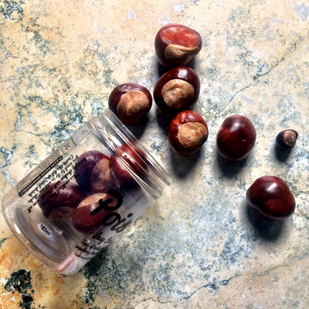 PoisonCocktails's tweet image. On the way to the office this morning one of our team found these... Winters coming. Conker wars tomorrow!
#conkerfun #cocktailfun #poisoncocktails #cocktailsinjars