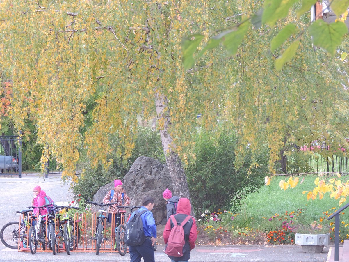 Сегодняшний день прошёл в раздумьях, сопровождаемых тяжкими вздохами - первый этап опубликован, а осенняя хандра и море уроков накрыли волной. И немного завидно становится, когда видишь первоклашек. Но потом вспоминаешь о конкурсе и сразу легче!
#ШколаРосатома
#RosatomsCOOL