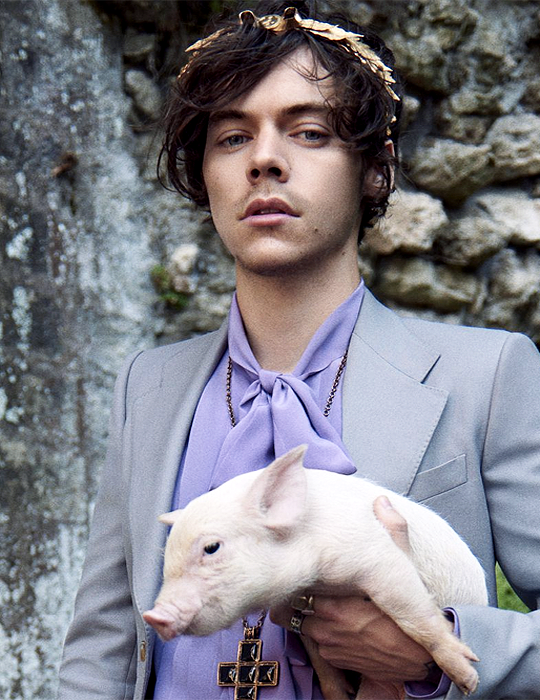 gucci cruise 2019 harry styles