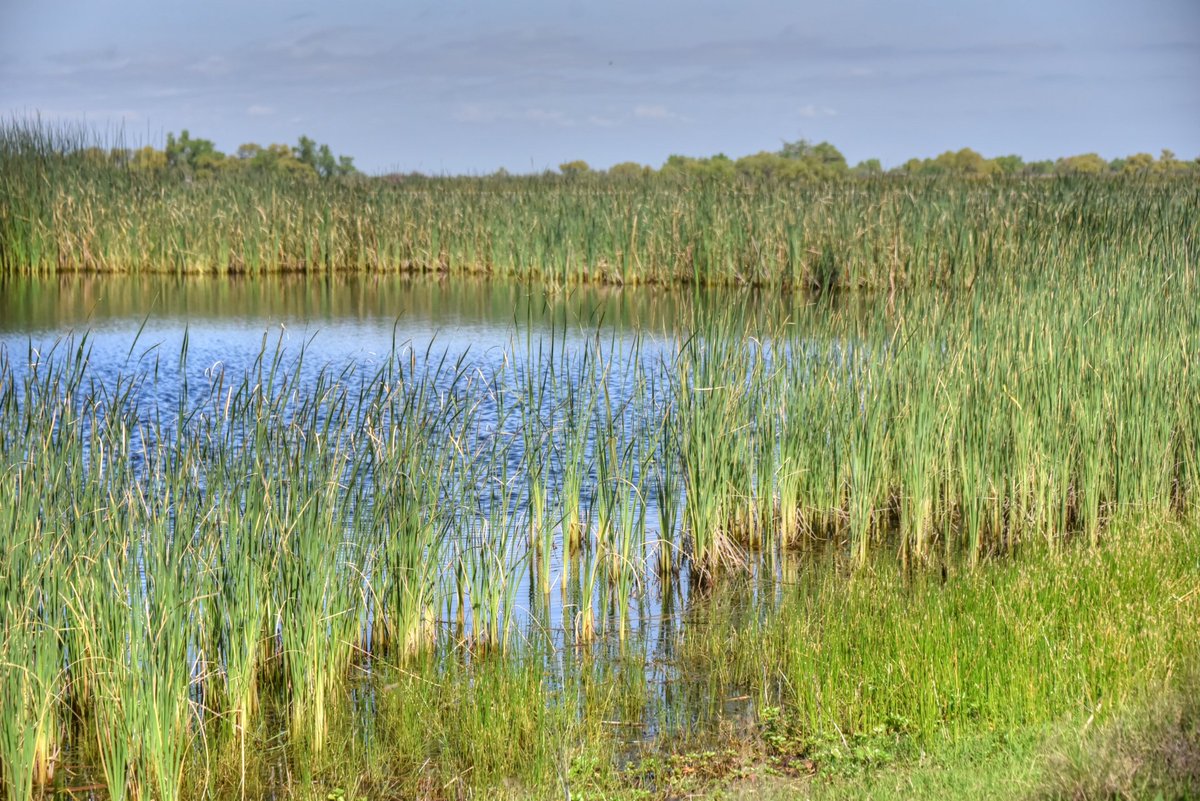 ...a comprehensive inventory of the state of the world's #wetlands. 