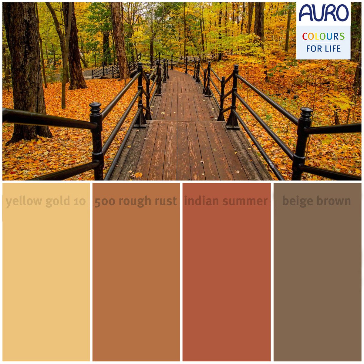 Zaubern Sie mit unseren schönen AURO Herbstfarben gemütliche Wärme in Ihre vier Wände Wählen Sie Ihren Lieblingston aus unserer COLOURS FOR LIFE Serie aus