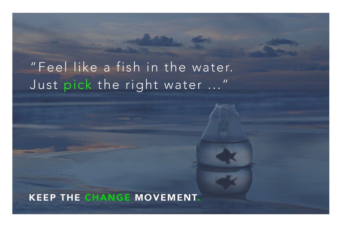 KTCMNL's tweet photo. "Wees als een vis in het water maar kies het juiste water ... #zzp of #zzb https://t.co/6hLBkdMFf8